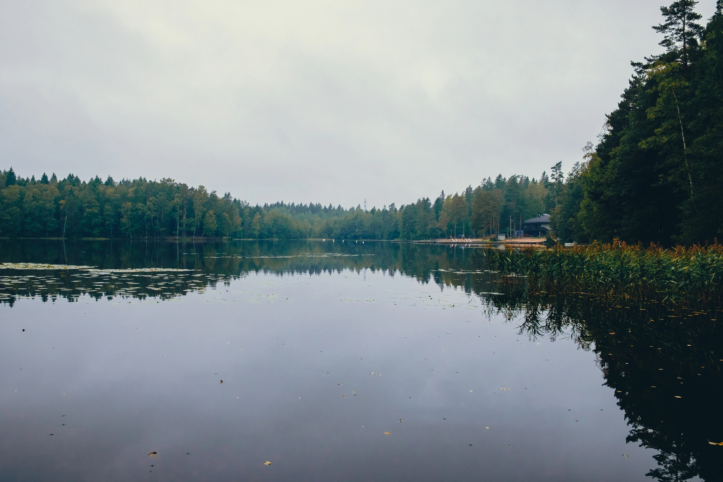 Sipoonkorpi_National_Park[1].webp
